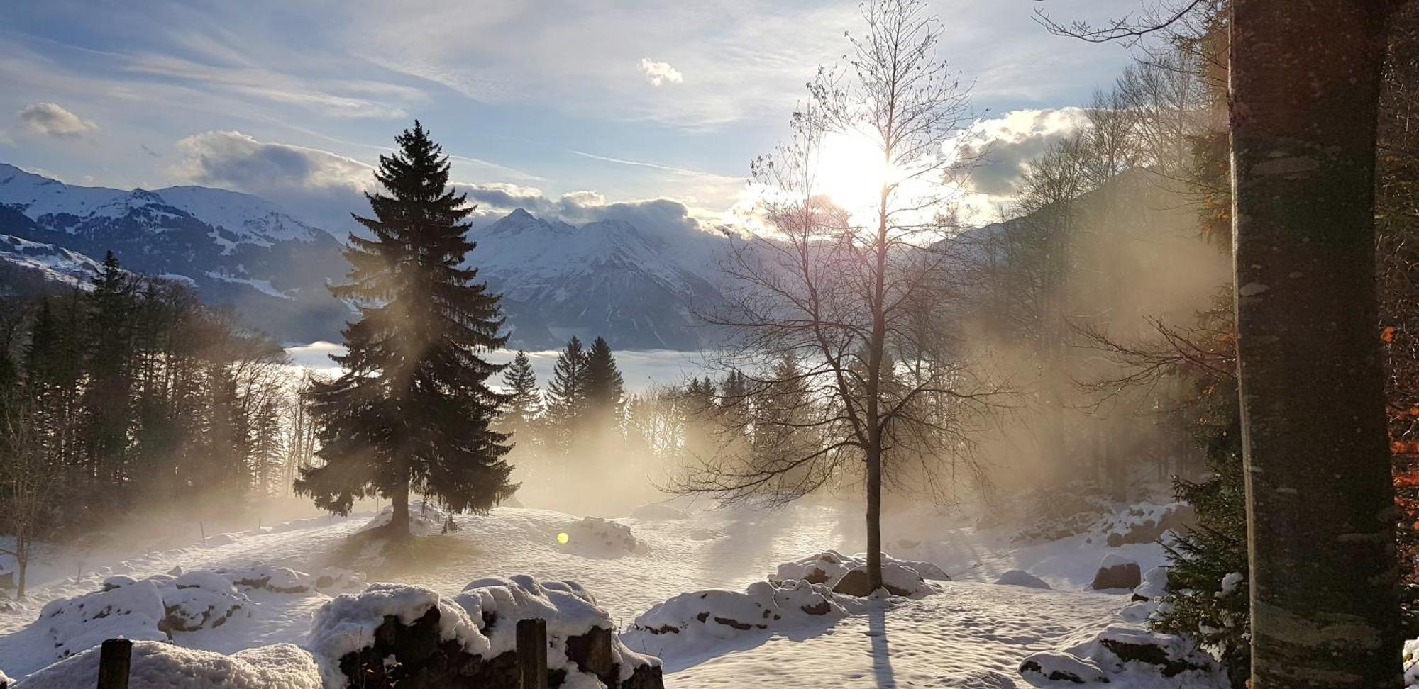 Gemuetliche Fewo Mit Sauna Inmitten Der Berge ไมริงเงน ภายนอก รูปภาพ