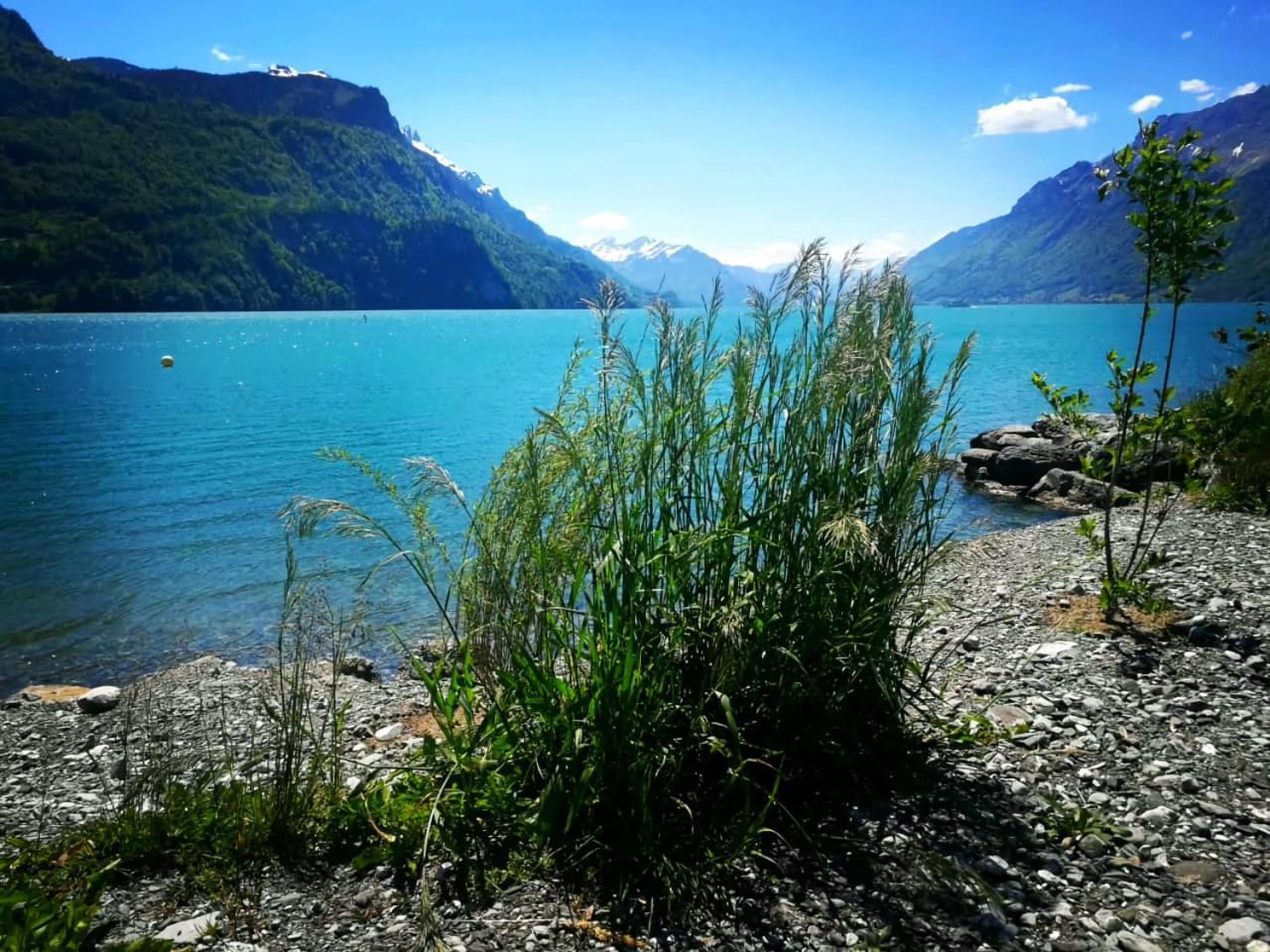 Gemuetliche Fewo Mit Sauna Inmitten Der Berge ไมริงเงน ภายนอก รูปภาพ