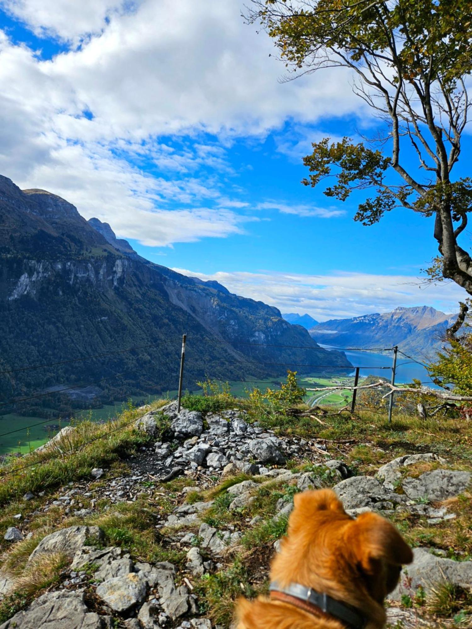 Gemuetliche Fewo Mit Sauna Inmitten Der Berge ไมริงเงน ภายนอก รูปภาพ