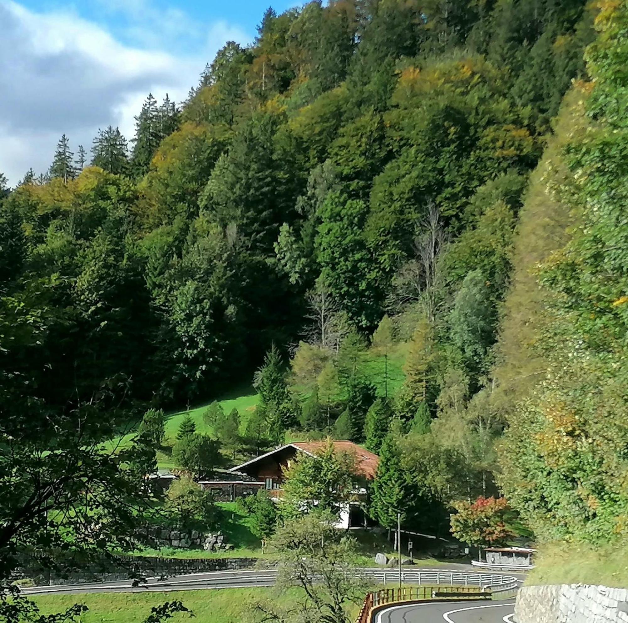 Gemuetliche Fewo Mit Sauna Inmitten Der Berge ไมริงเงน ภายนอก รูปภาพ